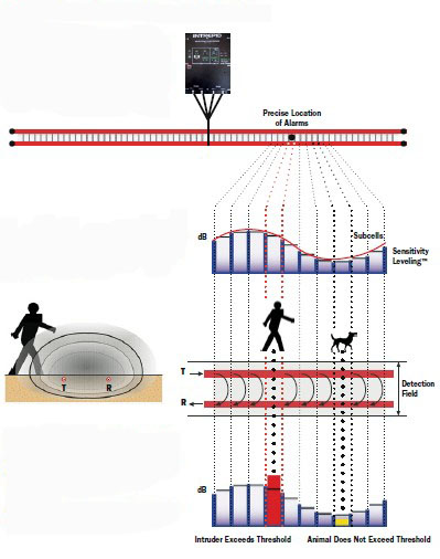 news intrusion detection